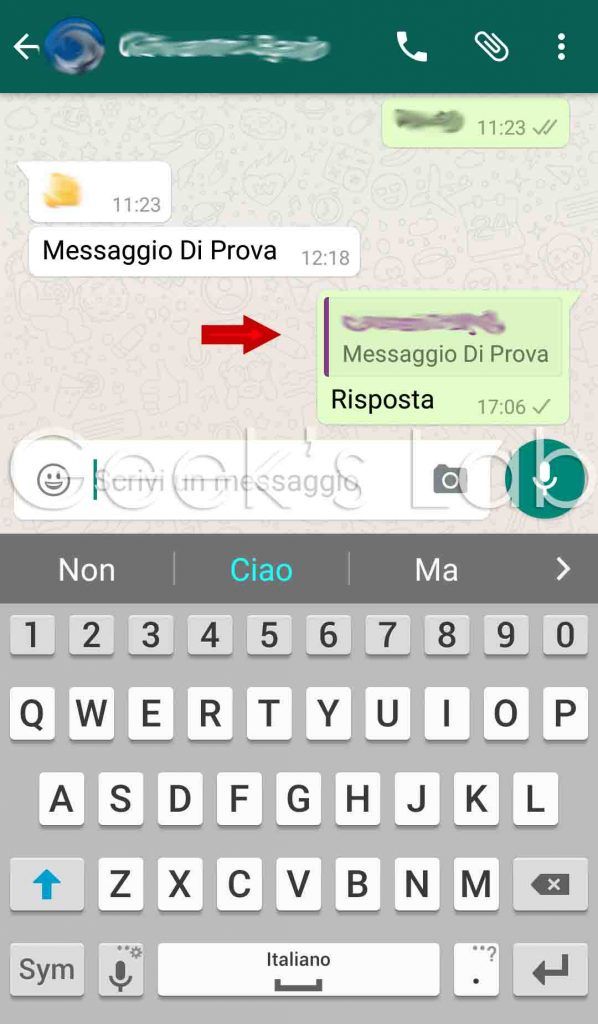 Come citare un messaggio su WhatsApp