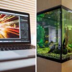 Computer, acquario