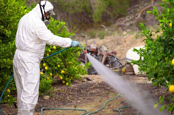 mettere pesticidi su alberi da frutto